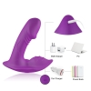 WHISTLE Kablosuz Kumandalı Klitoris ve G Nokta Uyarıcı Giyilebilir Vibratör