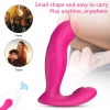 Prog Rct Şarjlı Kumandalı G Nokta ve Klitoris Uyarıcı Külot İçi Giyilebilir 2 in 1 Mini Vibratör