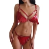 Sens Fantezi Harness Giyim Püsküllü Alt Üst Seksi Sütyen Külot Erotik Kırmızı Takım - J765