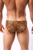 Şık Leopar Desenli Fantezi Erkek Slip Külot