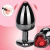 Siyah Paslanmaz Metal Kalpli Anal Plug