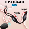 Testis ve Penis Halkalı Titreşimli Perine ve Prostat Uyarıcı Anal Plug Vibratör